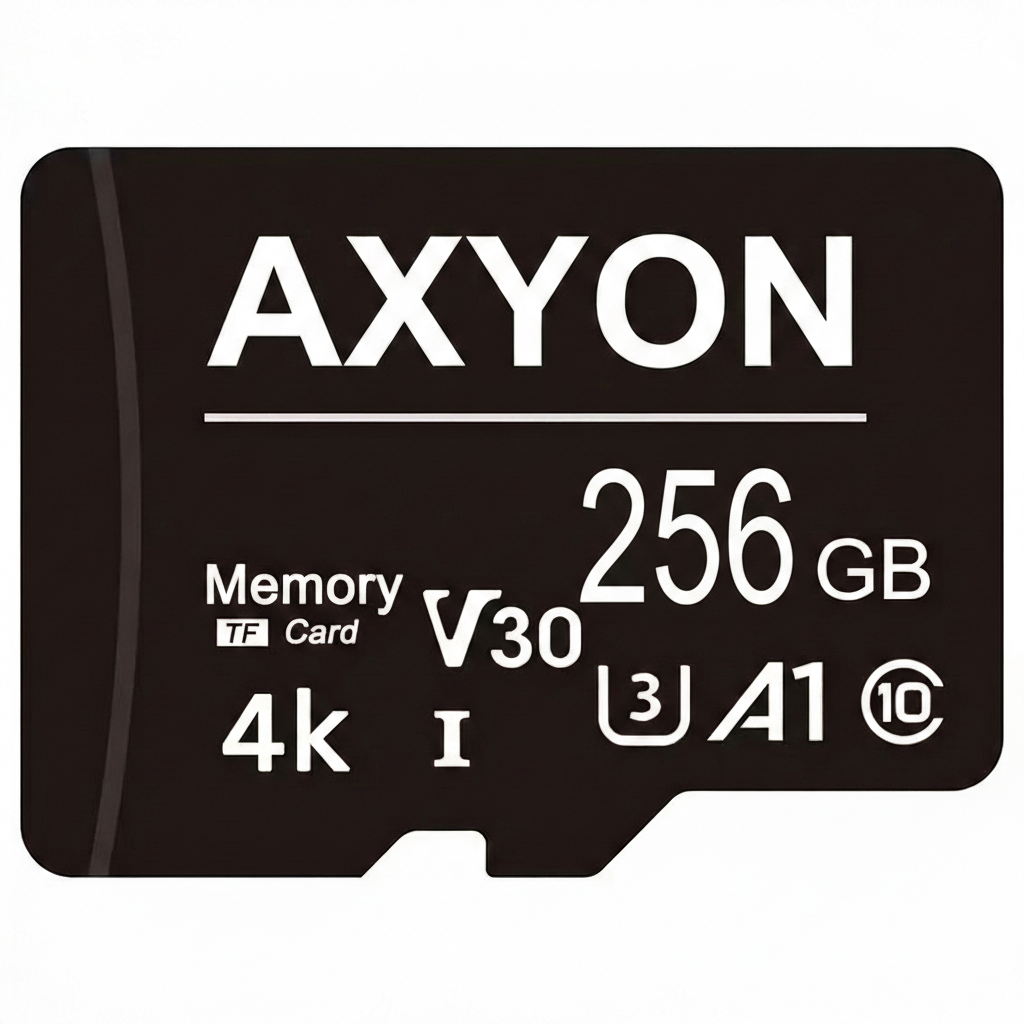 AXYON 256GB memory card on a white background