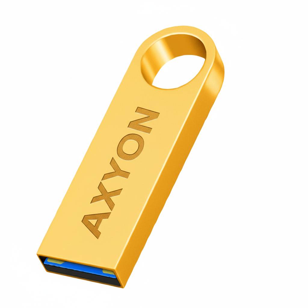Silver USB flash drive with 'AXYON' branding on a white background