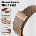 AXYON Garmin Milanese loop band in stainless steel mesh with a magnetic clasp, QuickFit 22mm